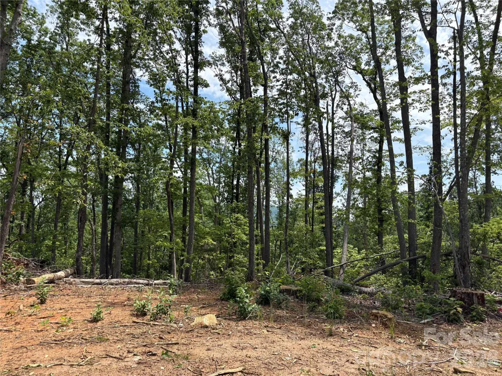 TBD Early Road Saluda, NC 28773