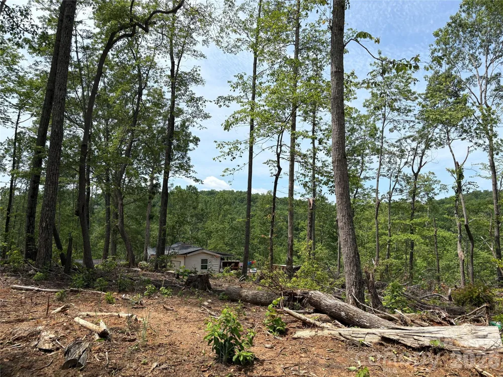 TBD Early Road Saluda, NC 28773