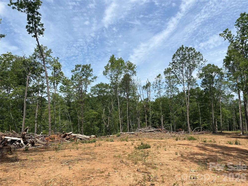TBD Early Road Saluda, NC 28773