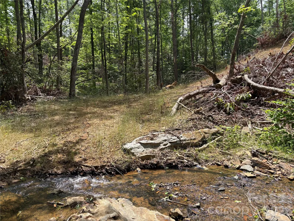 TBD Early Road Saluda, NC 28773
