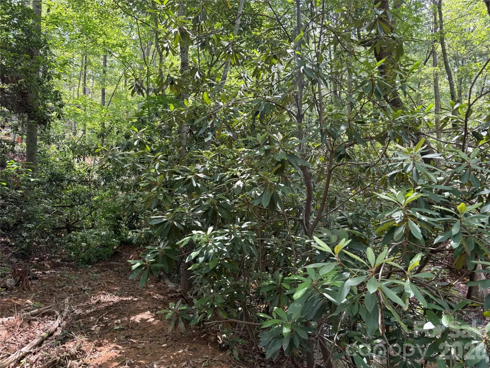 TBD Early Road Saluda, NC 28773