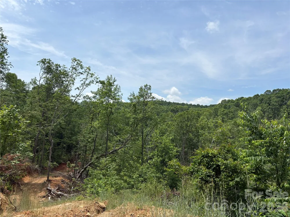 TBD Early Road Saluda, NC 28773