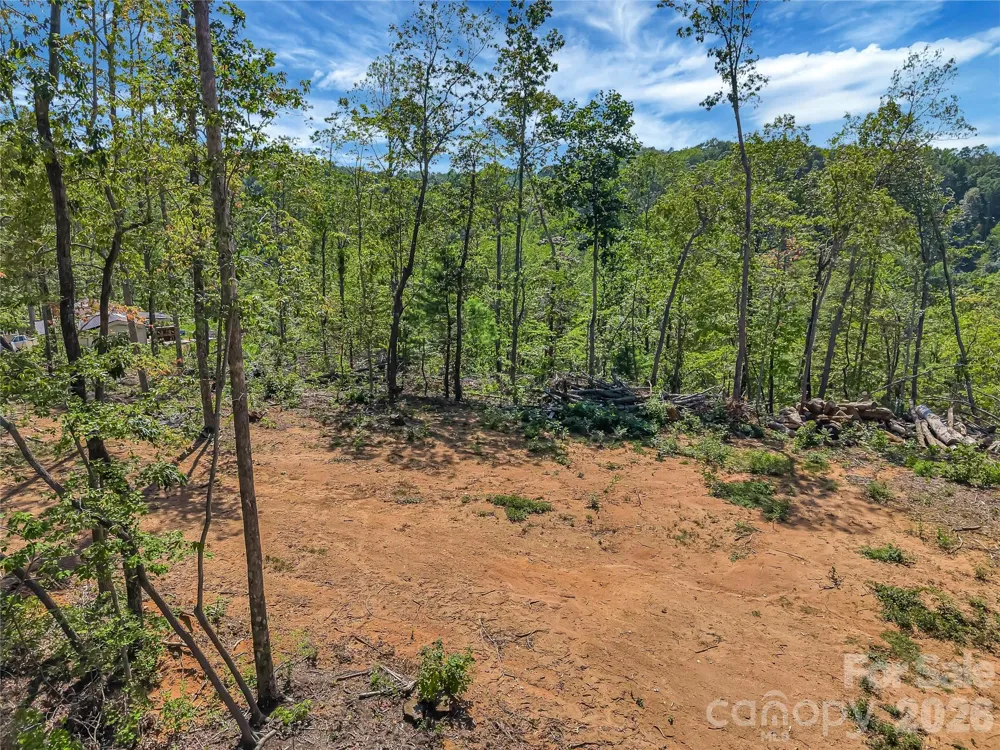TBD Early Road Saluda, NC 28773