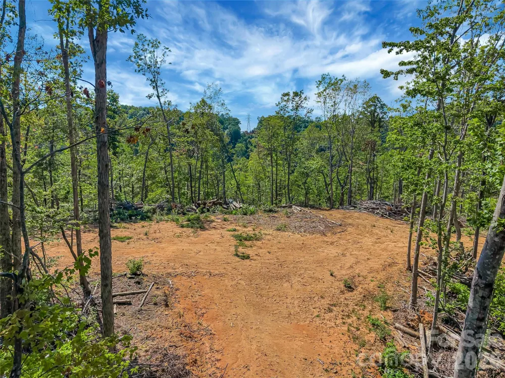 TBD Early Road Saluda, NC 28773