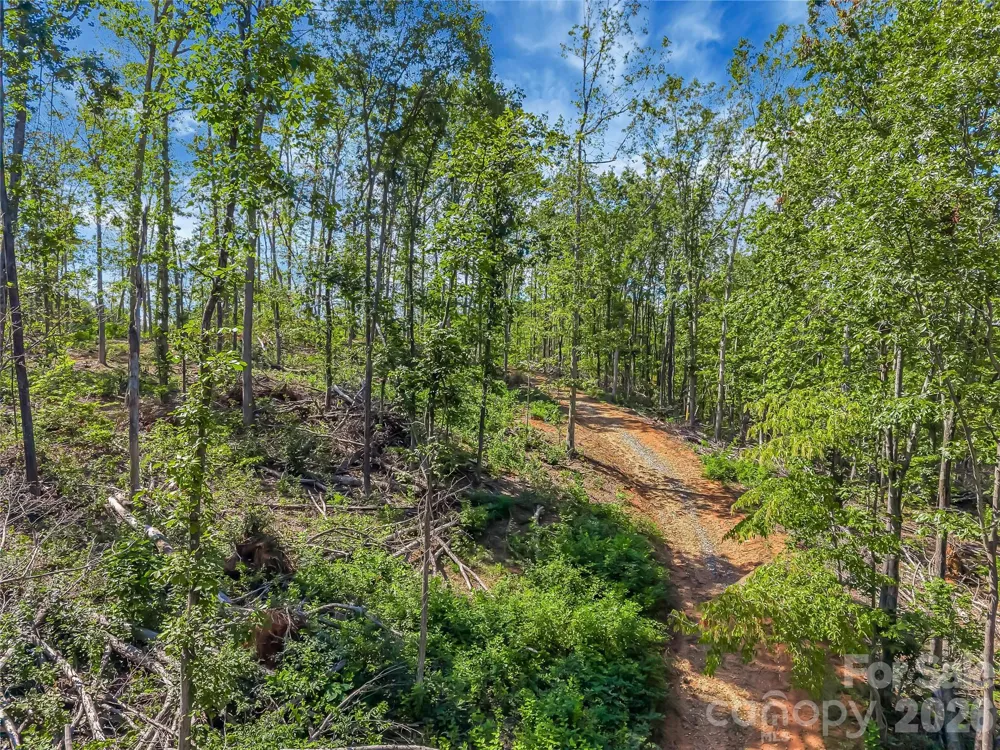 TBD Early Road Saluda, NC 28773