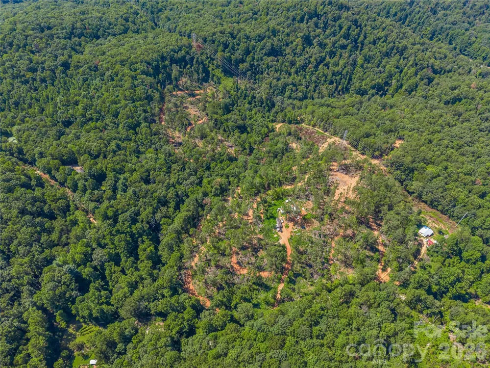 TBD Early Road Saluda, NC 28773