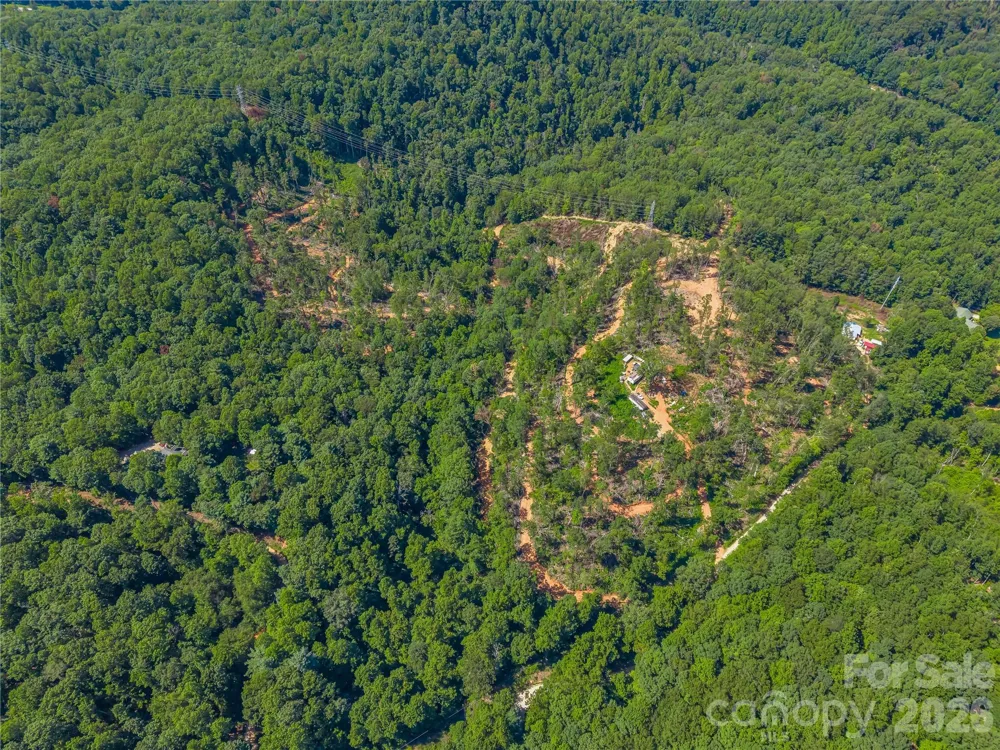 TBD Early Road Saluda, NC 28773