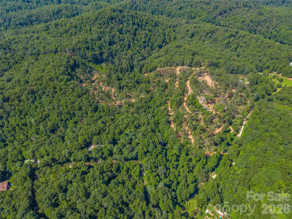 TBD Early Road Saluda, NC 28773