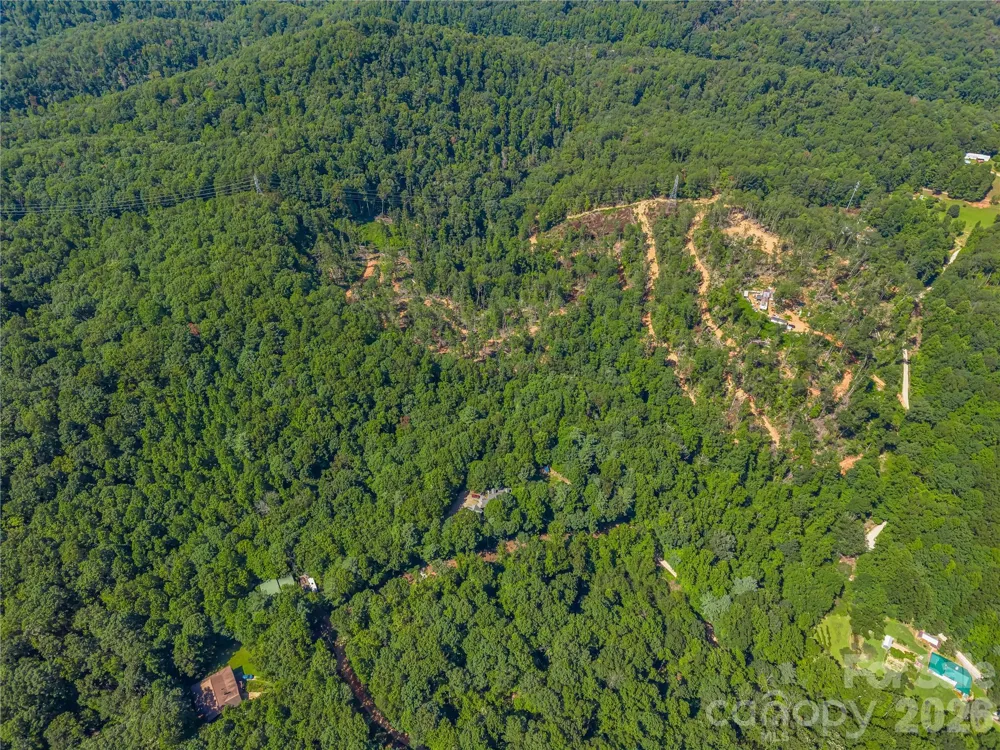 TBD Early Road Saluda, NC 28773