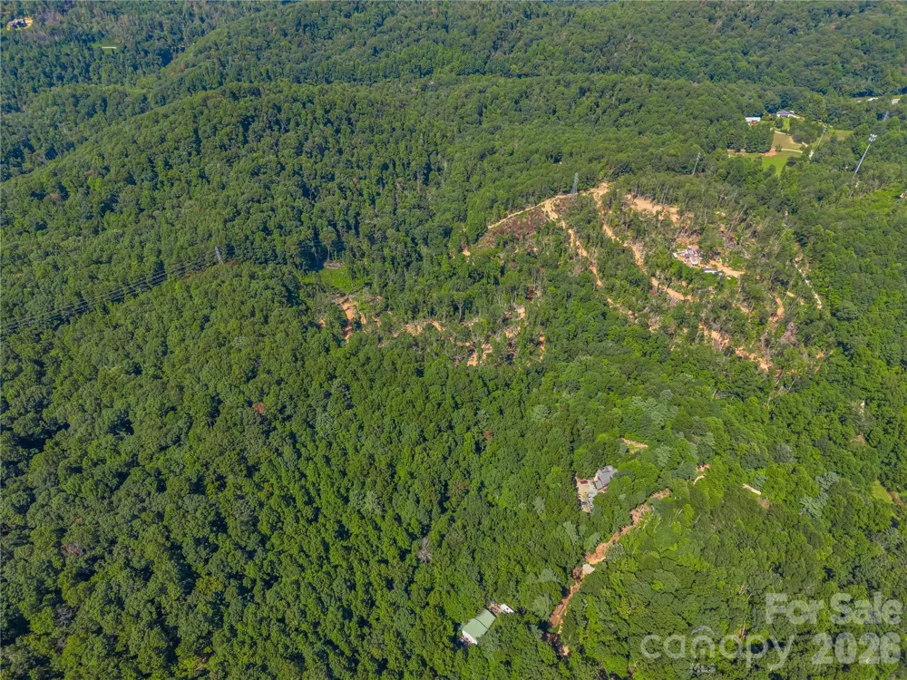 TBD Early Road Saluda, NC 28773