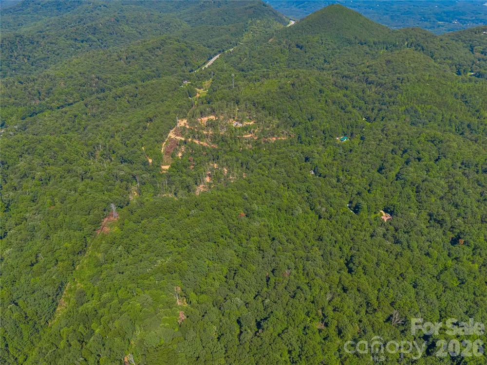 TBD Early Road Saluda, NC 28773