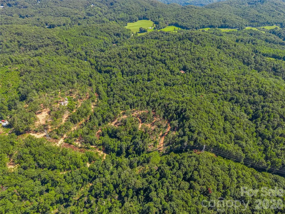 TBD Early Road Saluda, NC 28773