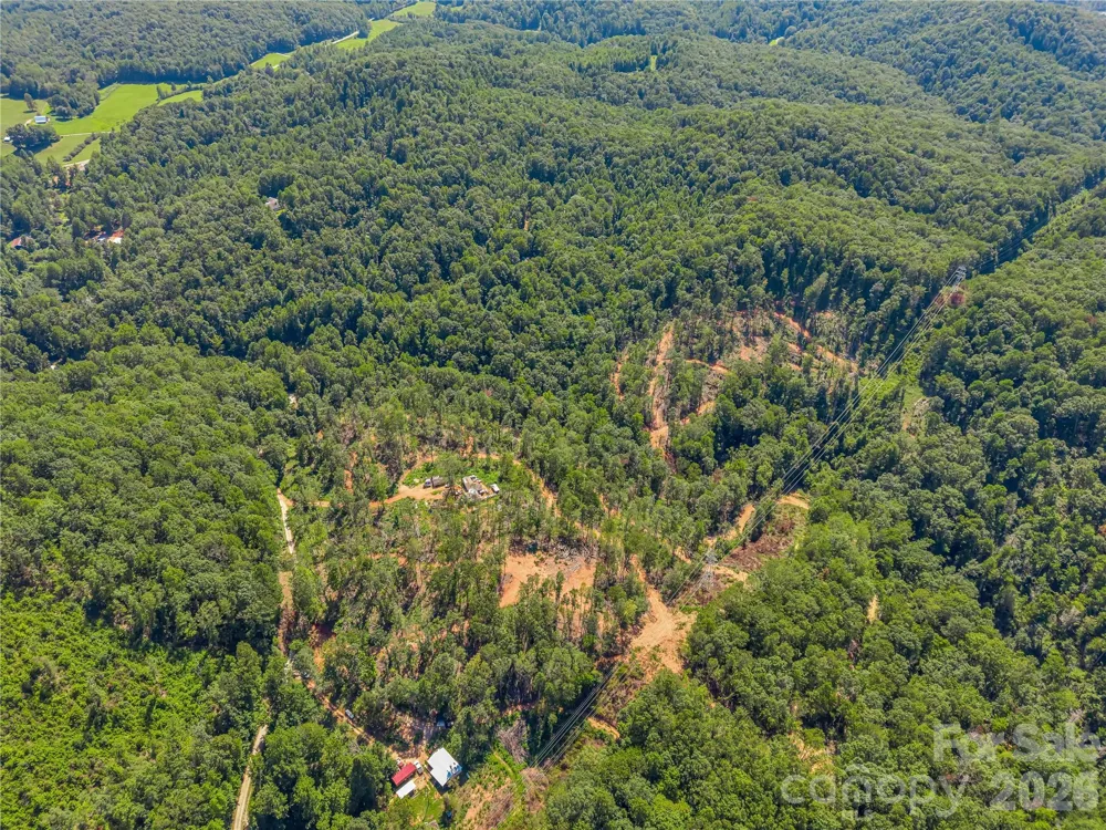 TBD Early Road Saluda, NC 28773