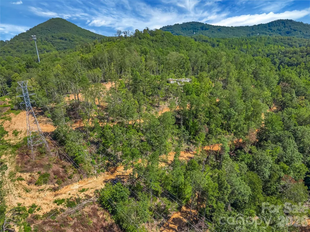 TBD Early Road Saluda, NC 28773
