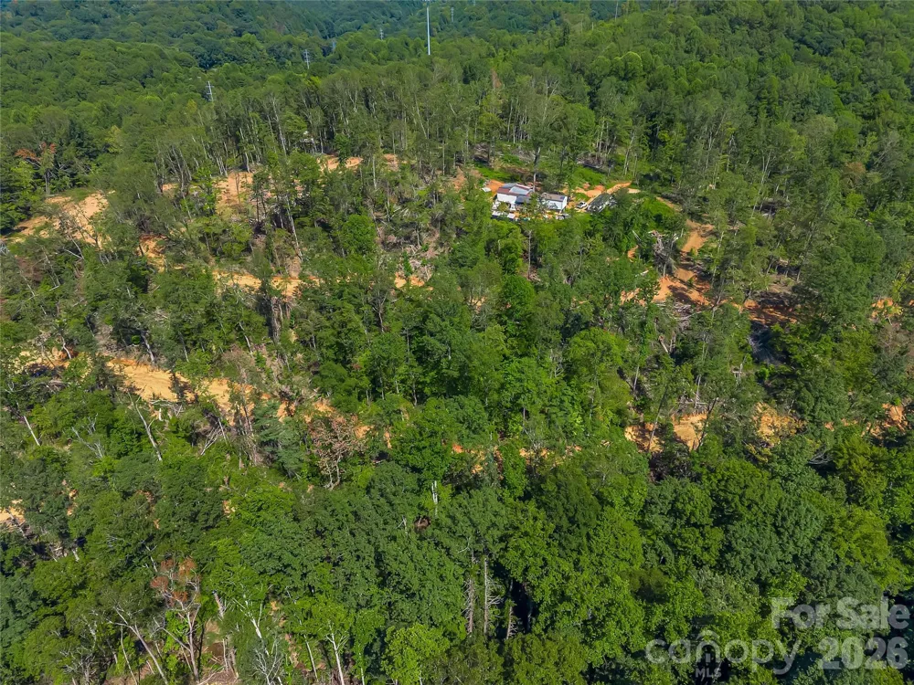 TBD Early Road Saluda, NC 28773