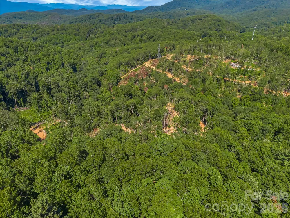 TBD Early Road Saluda, NC 28773
