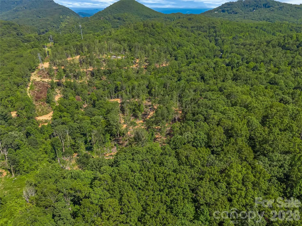 TBD Early Road Saluda, NC 28773