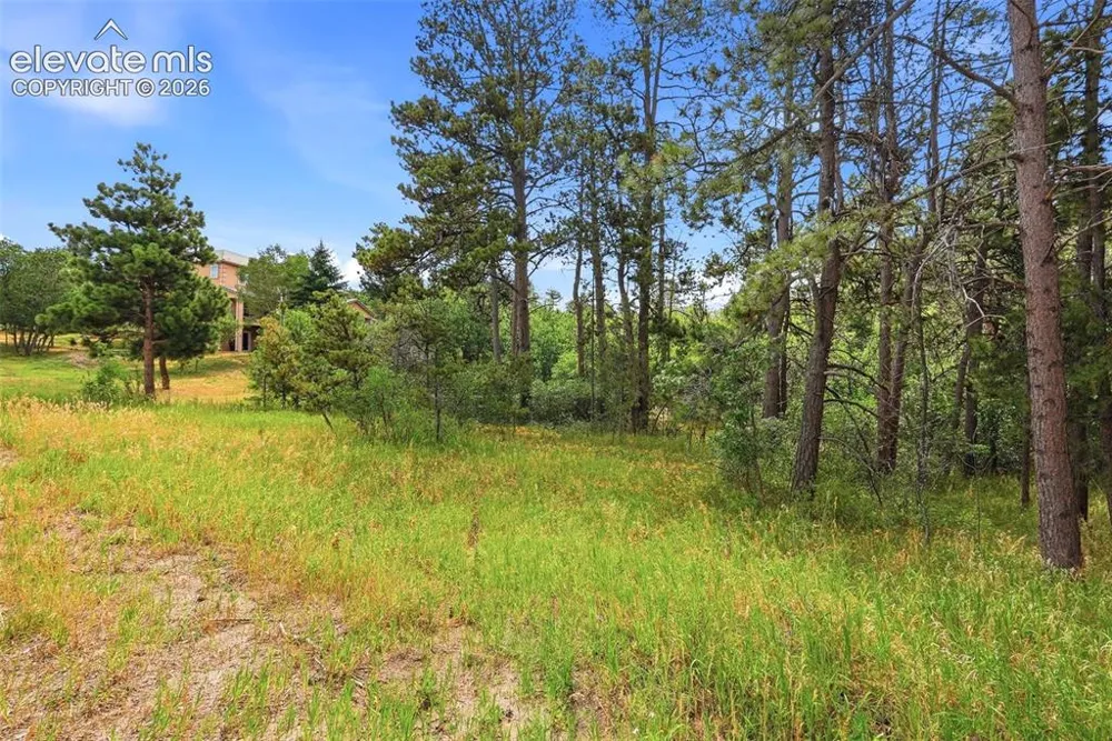 1455 Blueberry Hills Road Monument, CO 80132
