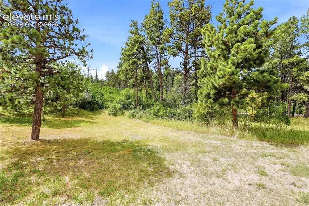 1455 Blueberry Hills Road Monument, CO 80132
