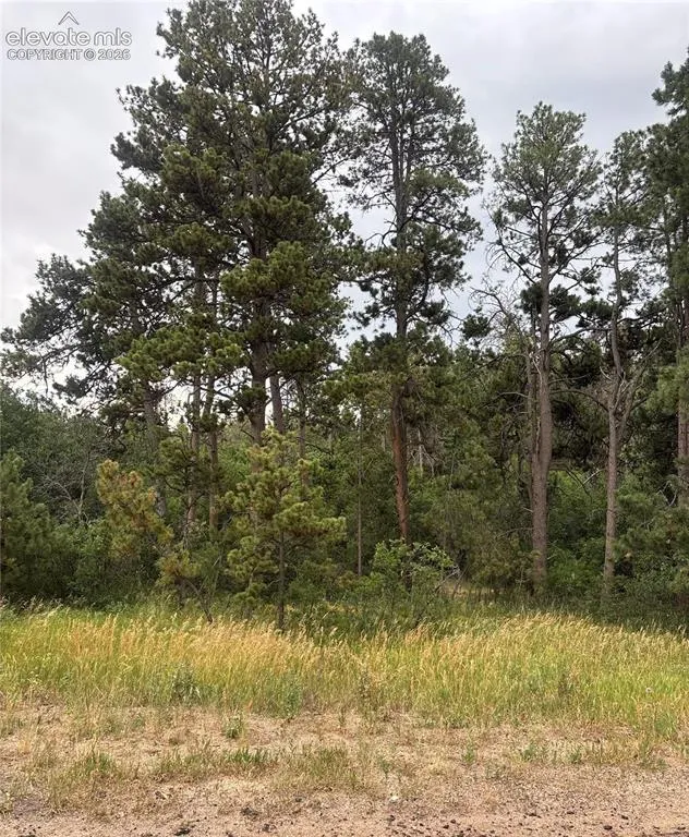1455 Blueberry Hills Road Monument, CO 80132