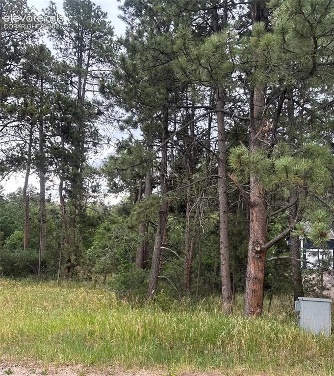 1455 Blueberry Hills Road Monument, CO 80132
