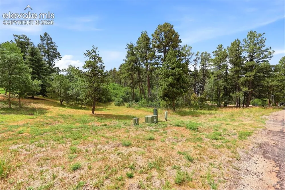 1455 Blueberry Hills Road Monument, CO 80132