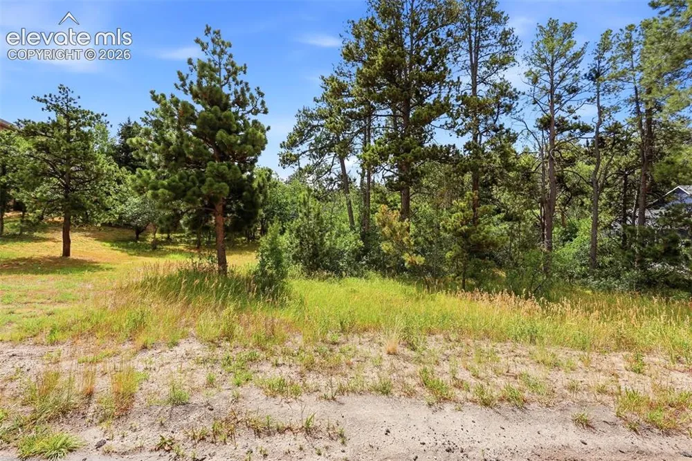 1455 Blueberry Hills Road Monument, CO 80132