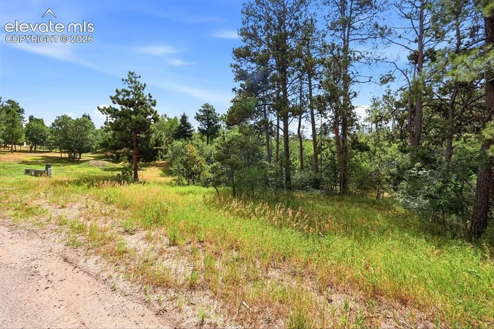 1455 Blueberry Hills Road Monument, CO 80132