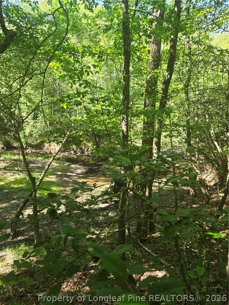 234 Circle Drive Vass, NC 28394