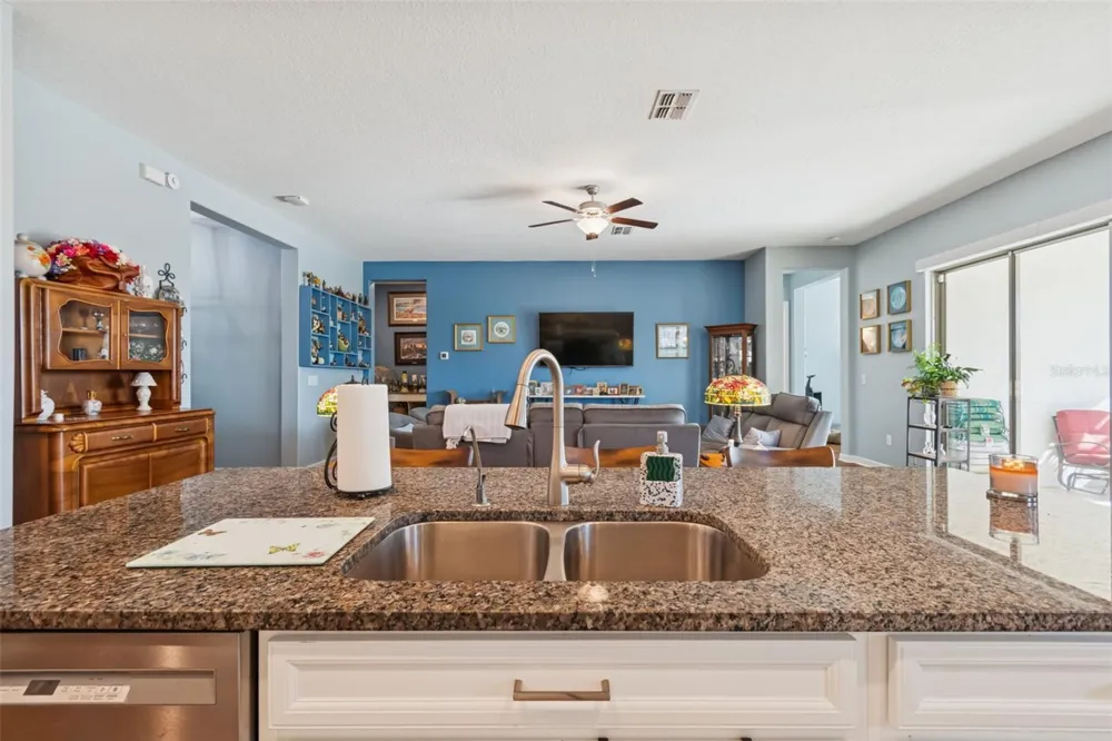 31516 CABANA RYE San Antonio, FL 33576
