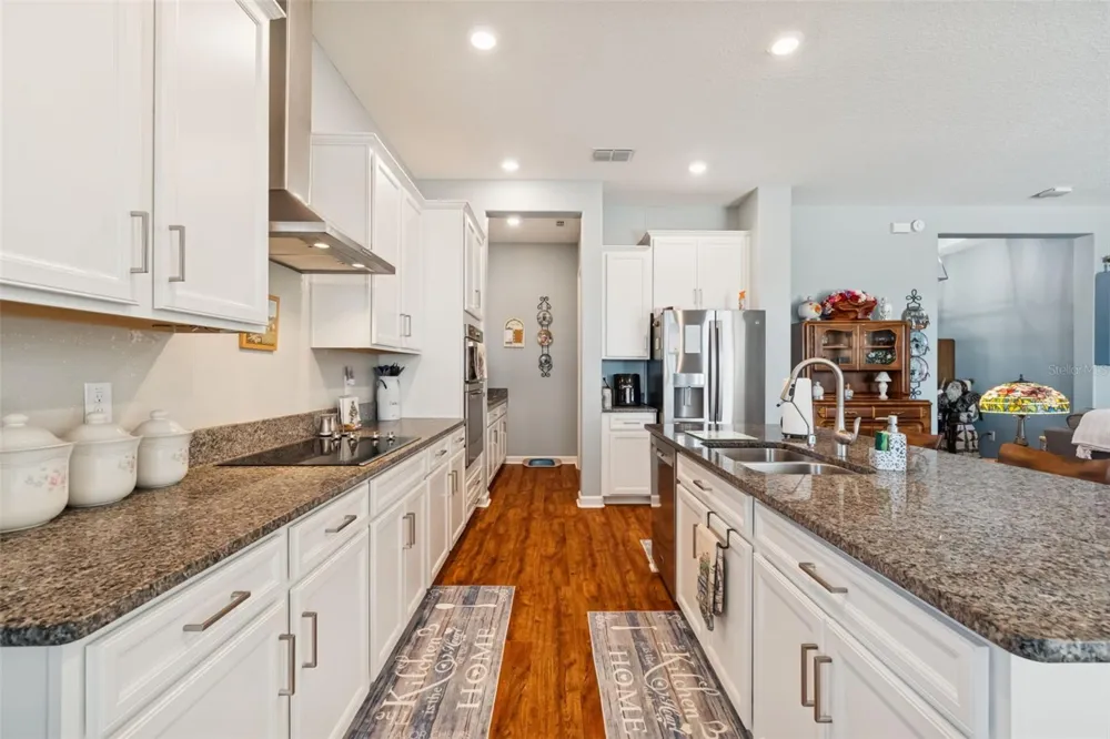 31516 CABANA RYE San Antonio, FL 33576