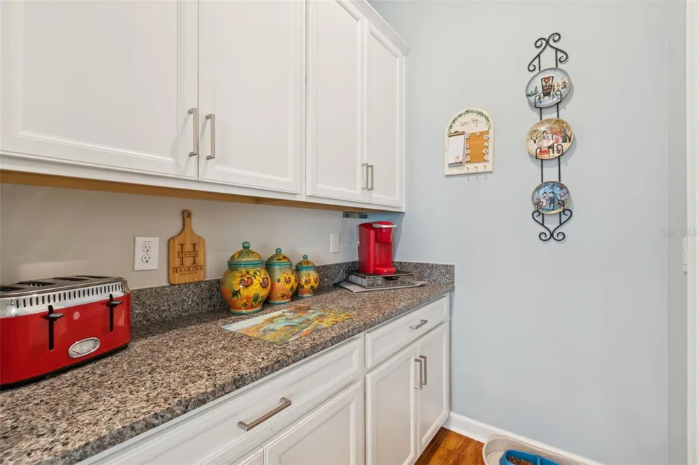 31516 CABANA RYE San Antonio, FL 33576
