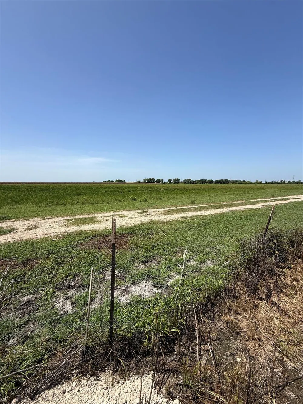 Bijou Rue Lot 37-38 Rosharon, TX 77583