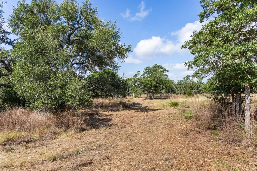 5385 Ranch Road 165 Blanco, TX 78606