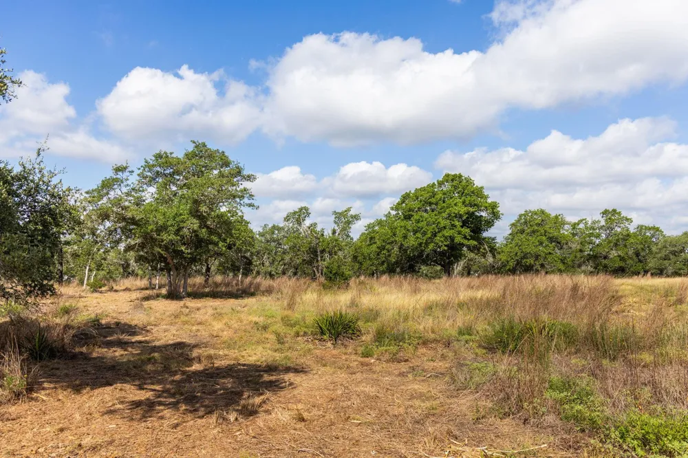 5385 Ranch Road 165 Blanco, TX 78606