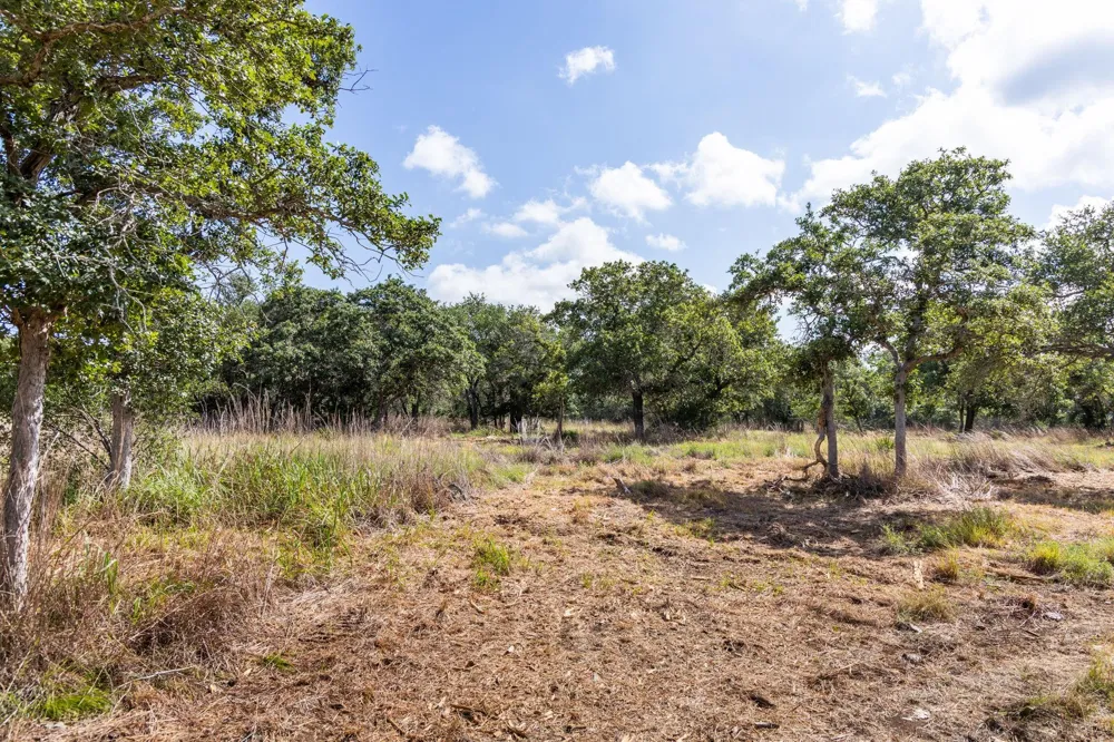 5385 Ranch Road 165 Blanco, TX 78606