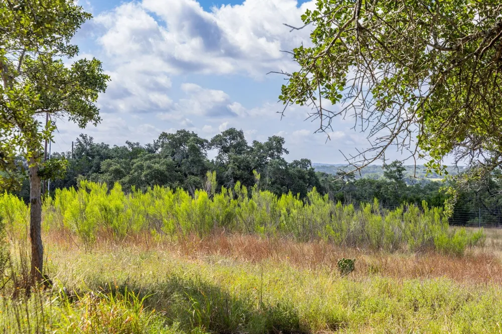5385 Ranch Road 165 Blanco, TX 78606