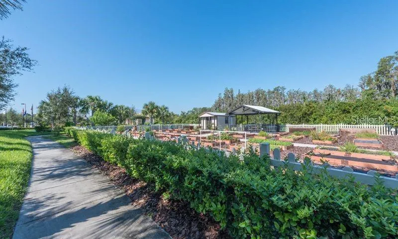 4935 MARBLE SPRINGS CIRCLE Wimauma, FL 33598