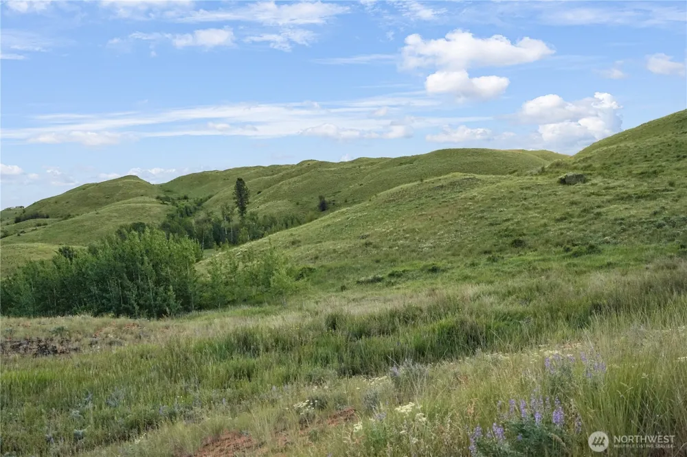 0 Hidden Hills Lane Tonasket, WA 98855