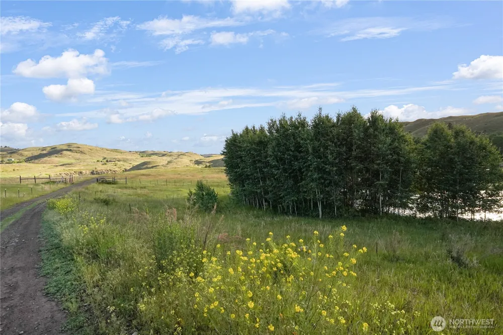 0 Hidden Hills Lane Tonasket, WA 98855