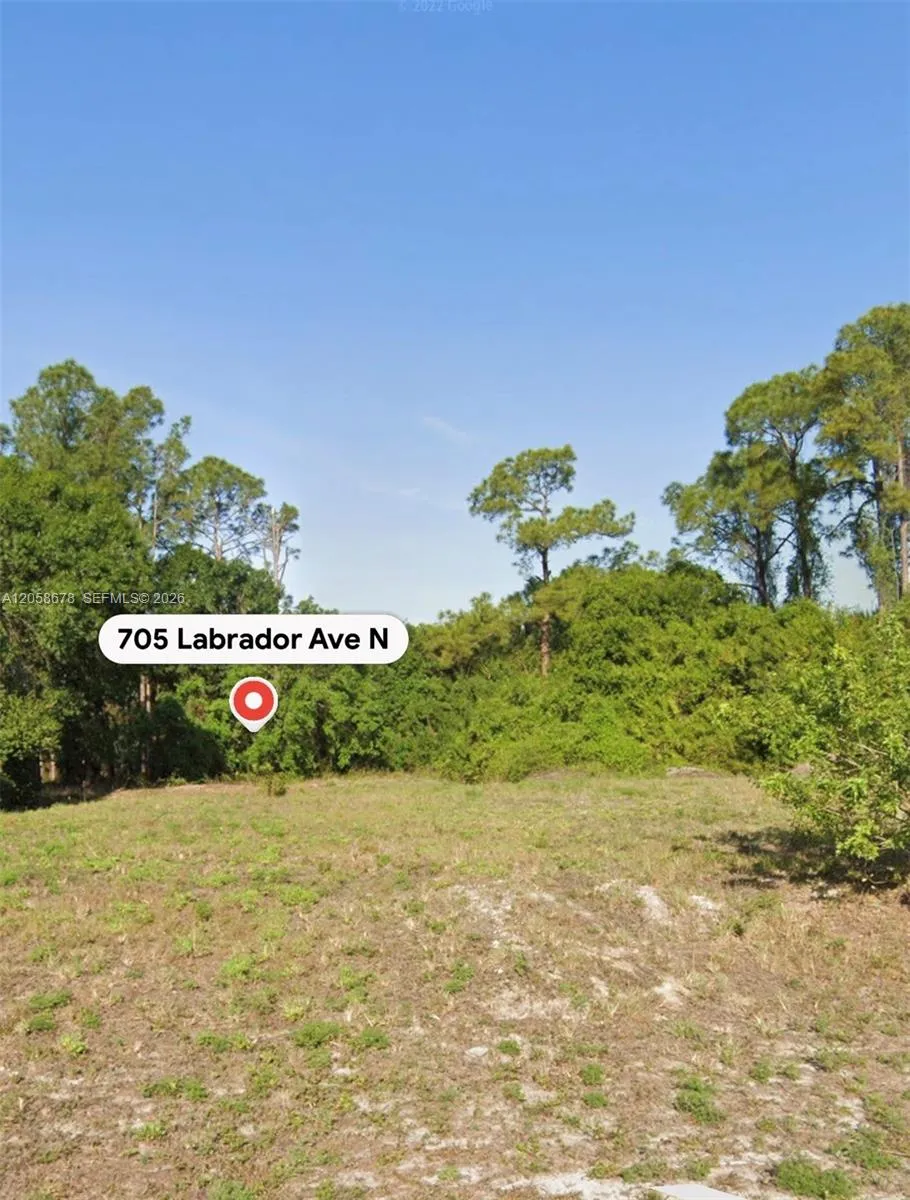 705 LABRADOR AVE N Lehigh Acres, FL 33971