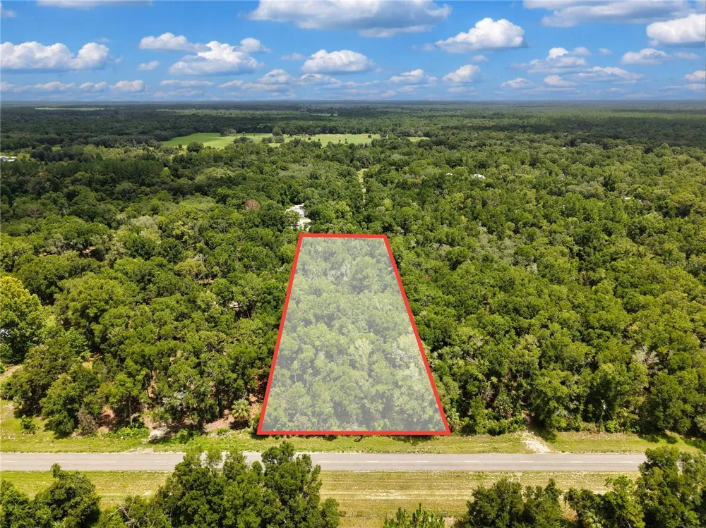 000 NE 410TH AVENUE Old Town, FL 32680