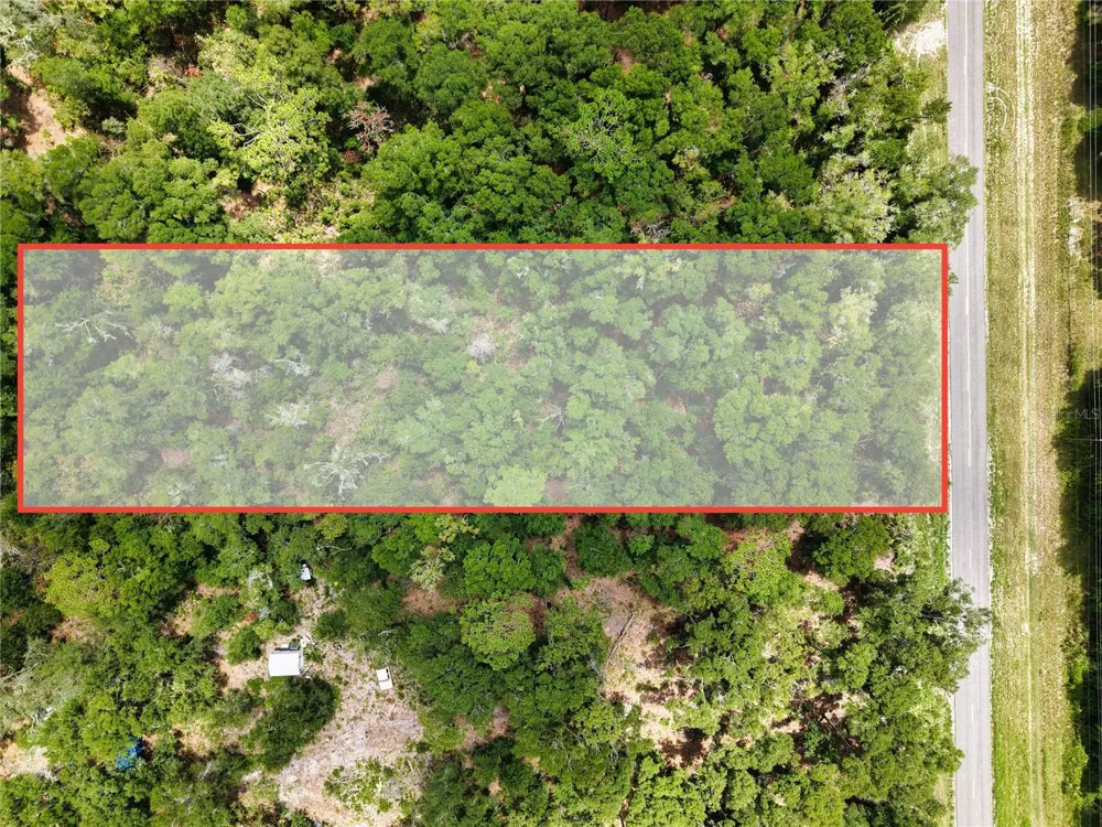 000 NE 410TH AVENUE Old Town, FL 32680