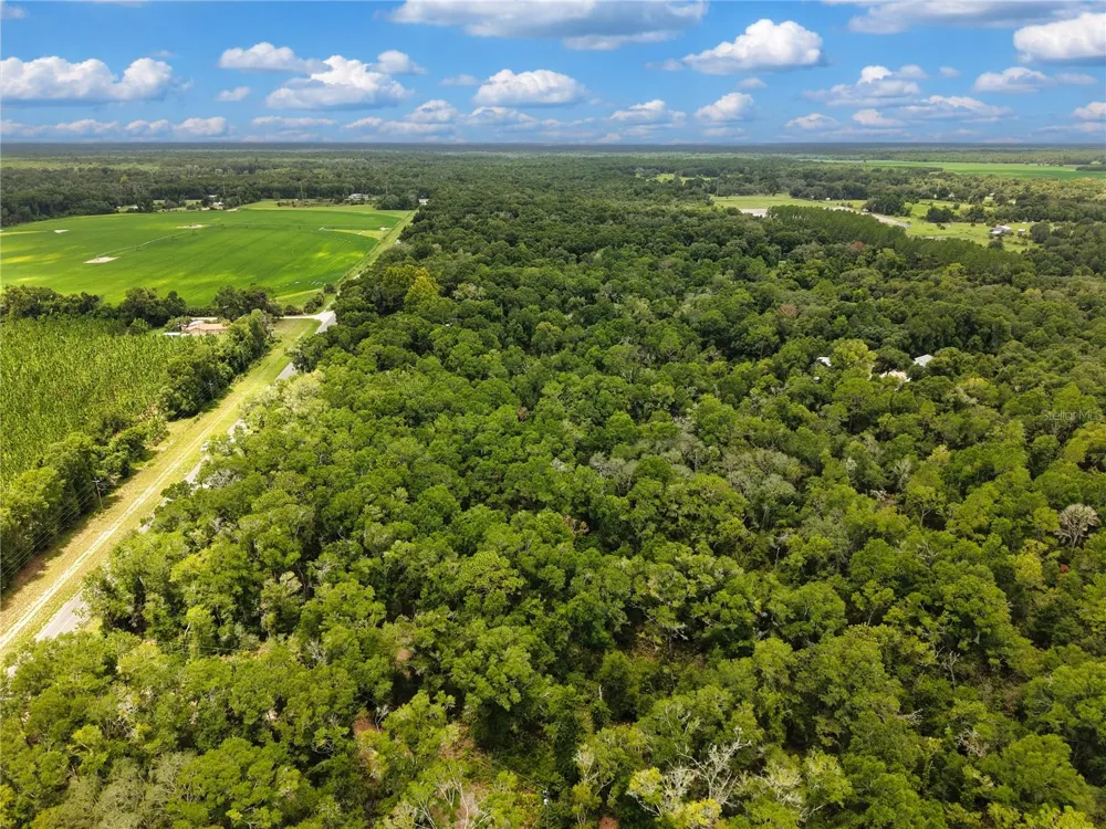 000 NE 410TH AVENUE Old Town, FL 32680