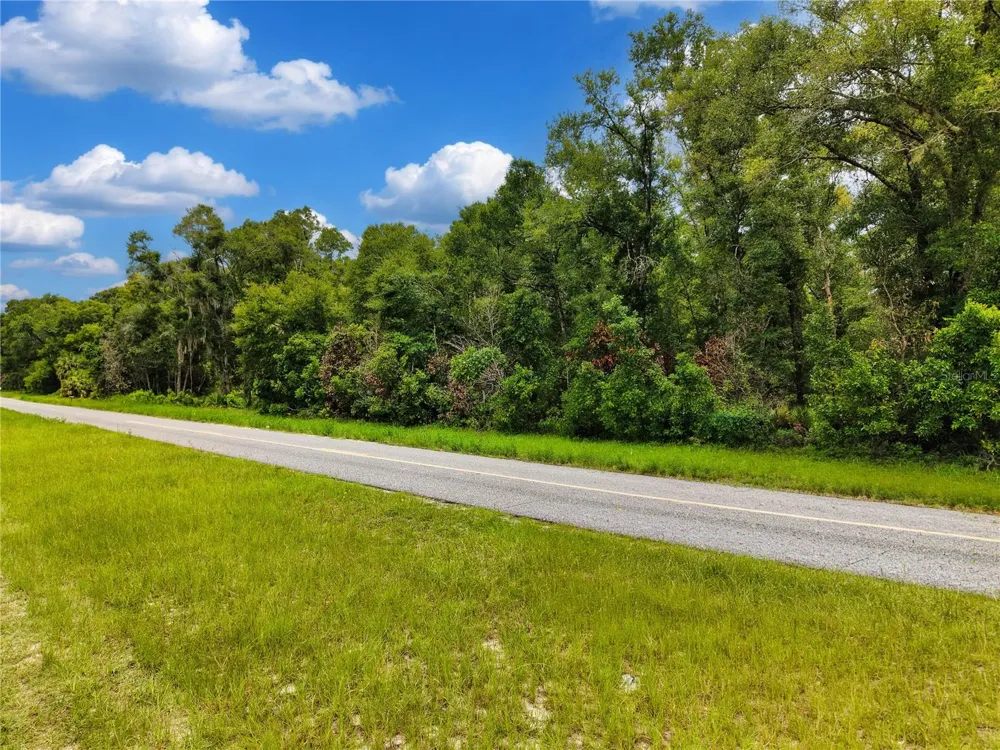 000 NE 410TH AVENUE Old Town, FL 32680