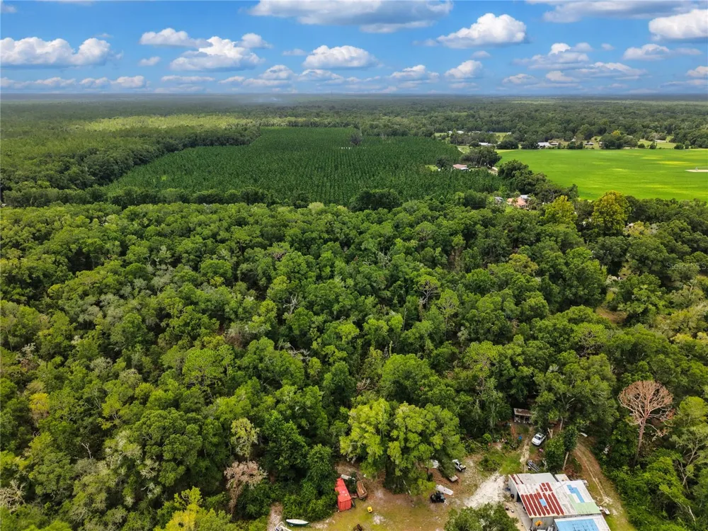 000 NE 410TH AVENUE Old Town, FL 32680