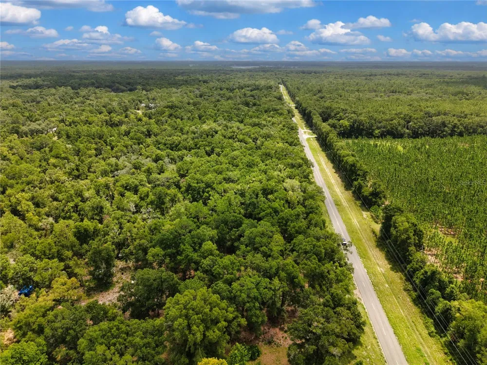 000 NE 410TH AVENUE Old Town, FL 32680