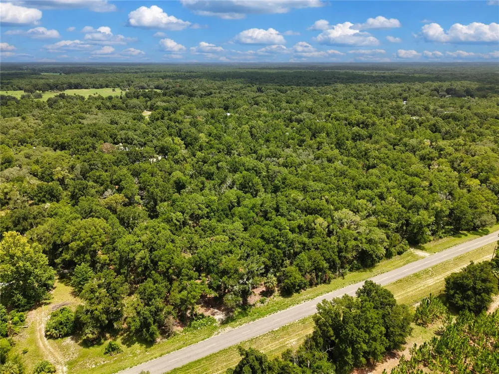 000 NE 410TH AVENUE Old Town, FL 32680