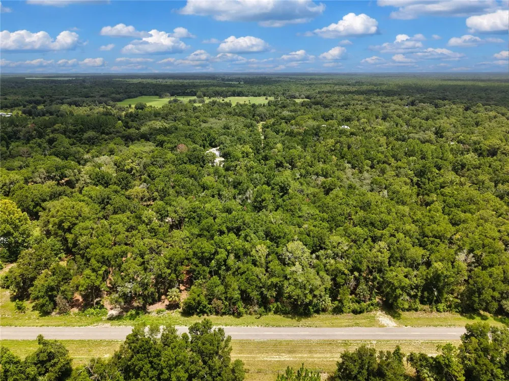 000 NE 410TH AVENUE Old Town, FL 32680