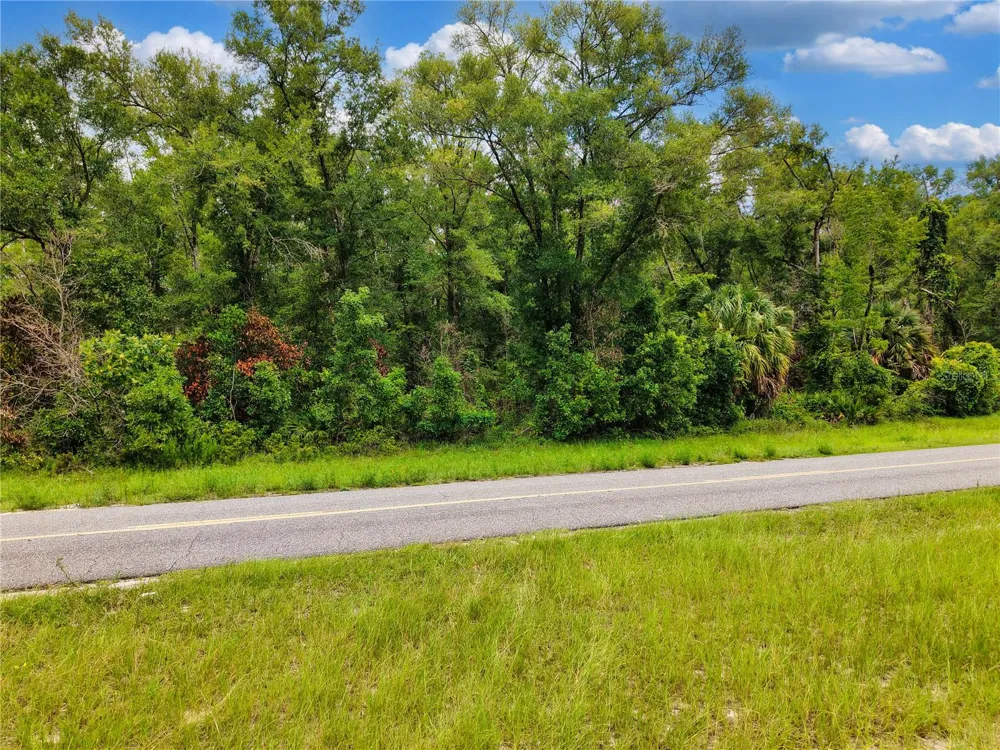 000 NE 410TH AVENUE Old Town, FL 32680
